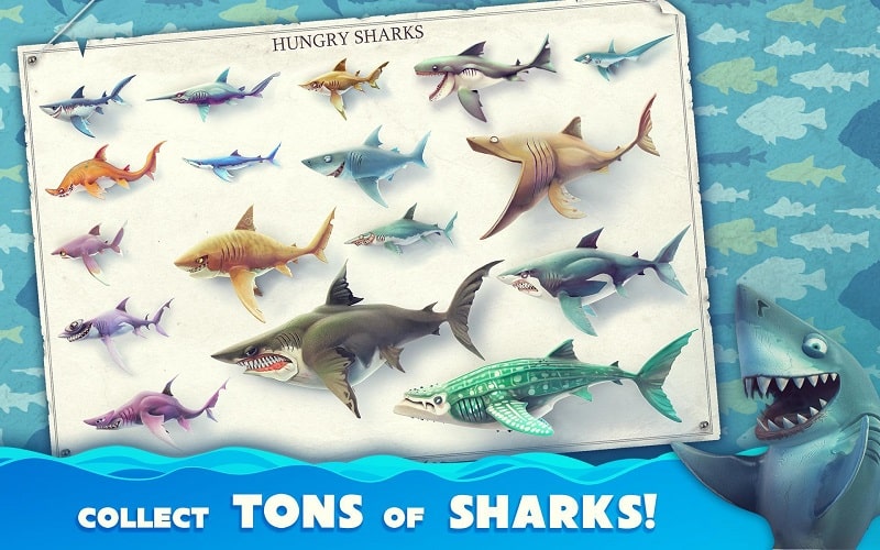 Tải Game Hungry Shark World Hack Mod Apk miễn phí 2021, hack game cá mập